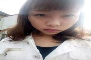 美术画二年级下册